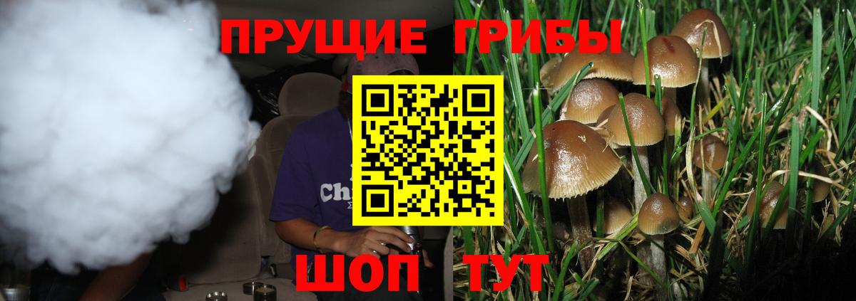 Муром  Псилоцибиновые грибы прущие грибы  наркотики  Вход с VPN 